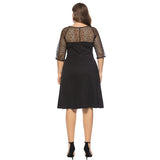 Plus Size Lace Splice O Neck 3/4 Dress